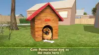 Pomeranian Dog Adventure - Puppy City Wild Life Screen Shot 0