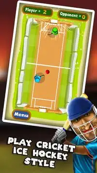 Cricket permainan Mad DewanAir Screen Shot 3