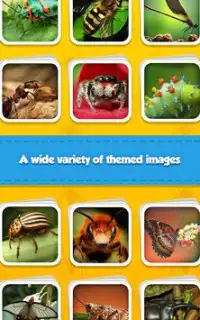 Insect Life Jigsaw Puzzle Game Screen Shot 3