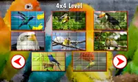 Birds Puzzles Screen Shot 4