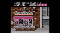 Guide Ninja Gaiden Screen Shot 0