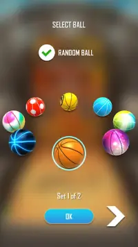 Basketball Flick 3D Screen Shot 2