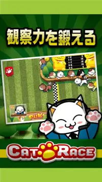 黄金伝説 - CatRace Screen Shot 3