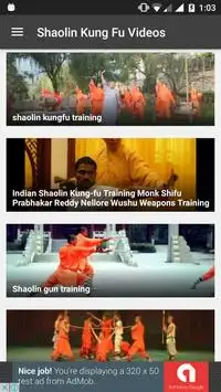 Shaolin Kung Fu Videos Screen Shot 1