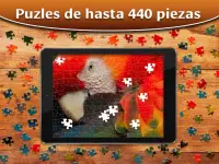 Rompecabezas Juegos de Puzzle - Jigsaw Puzzles HD Screen Shot 11