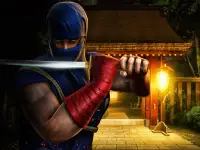 Shadow Ninja Fighting 3D Game Screen Shot 23