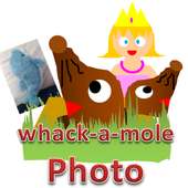 Photo Mole　Attack ２( Princess)