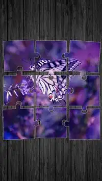 Papillon Jeux De Puzzle Screen Shot 0