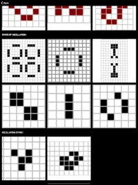 Conway's Game of Life Screen Shot 12