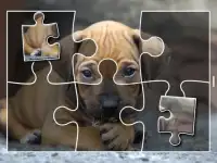 Puppies Jigsaw Puzzles Free Pet Games for Kids Screen Shot 3