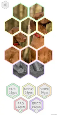 Dogs & Puppies Puzzles Screen Shot 2