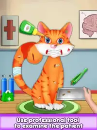 My Sweet Kitty Care - Pet Hospital Screen Shot 3