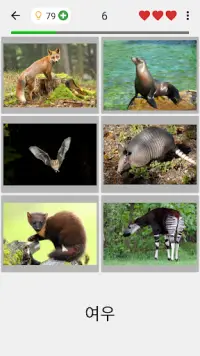 동물 퀴즈: 포유류, 새, 파충류, 공룡을 배우세요! Screen Shot 1