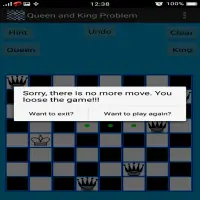 Chess Queen and King Problem Screen Shot 8