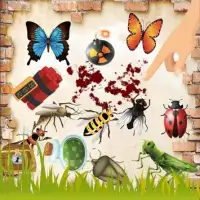 Crush Flying Insects Screen Shot 0