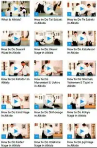 Aikido Lessons Screen Shot 0