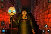 Scary Granny Scary Horror Game Screen Shot 0