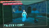 Frozen Granny & Ice Grandpa 5 Screen Shot 1