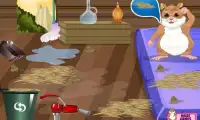Cute Hamster - Pet Caring Game Screen Shot 2
