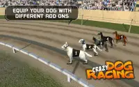 Crazy Dog Racing Screen Shot 4