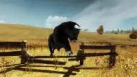 Angry Bull Hunting - Wild Bulls Hunter Screen Shot 7