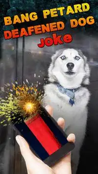Bang Petard Deafened Dog Joke Screen Shot 0