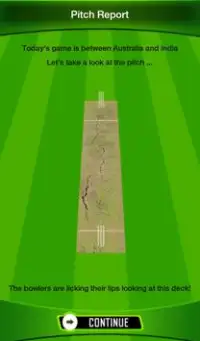 The Best Cricket Game Ever Screen Shot 17