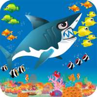 Shark Grow: Big Fish Eat Small