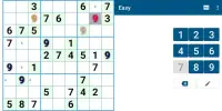 Ergo Sudoku Screen Shot 2