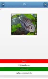 Aquarium fish - quiz Screen Shot 2