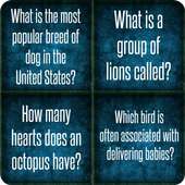 Animal trivia quiz