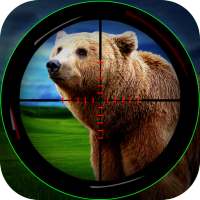 Animal hunting wild bear Sniper Shooter