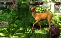 Wild Deer Hunting 2017 Screen Shot 3