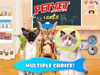 Cat Games: Pet Doctor Dentist Screen Shot 4