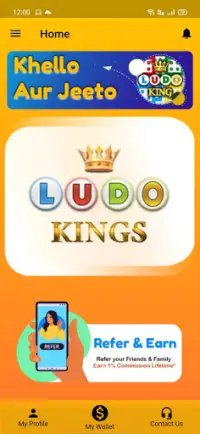Ludo Games Lite Screen Shot 1
