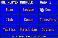 The Soccer Player Manager Screen Shot 0