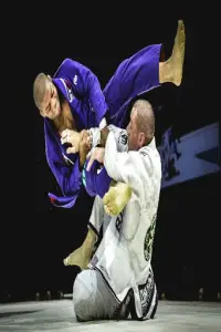 Jiu Jitsu Guide Screen Shot 0