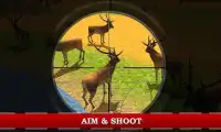 Wildlife Jeep Safari Simulator Screen Shot 2