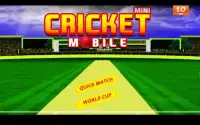 Mini Cricket Móvel Screen Shot 7