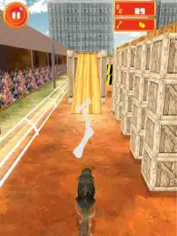 Crazy Dog Surfer - Endless Run Screen Shot 8