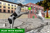 Dog Sim Pet Animal Games Screen Shot 7