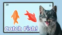 Fish for Cats - Cat Fishing Game Screen Shot 0