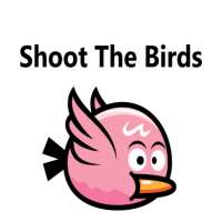 Shoot the Birds