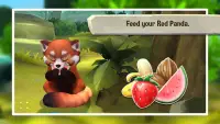Pet World: My Red Panda - Your lovely simulation Screen Shot 2