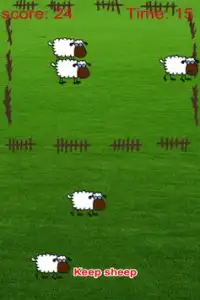 Amazing Farm: Sheep Keeping Screen Shot 0