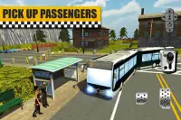 Bus & Taxi Driving Simulator Screen Shot 0