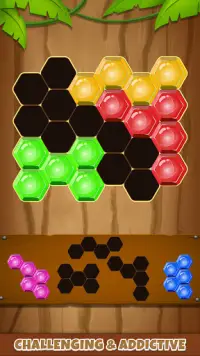 hexa puzzel - blok ontploffing Screen Shot 0