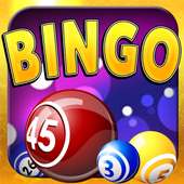 Play Bingo Stars