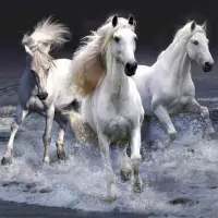 Horses Jigsaw Puzzles Screen Shot 2