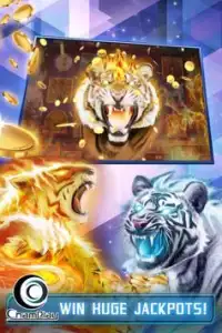 Fire Tiger Slots Screen Shot 0